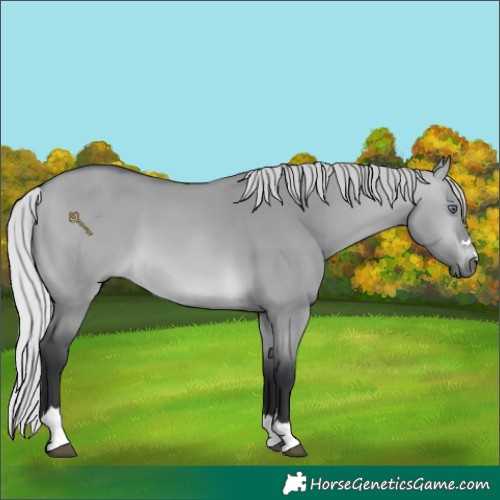 Horse Color:Silver Brown Chinchilla Dun 