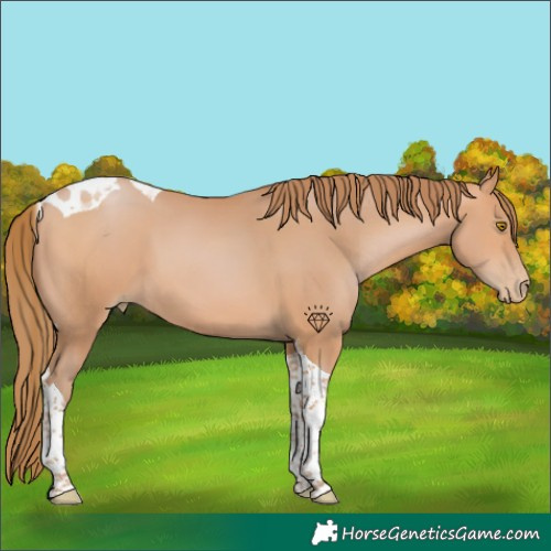 Horse Color:Bay Pearl Tobiano 