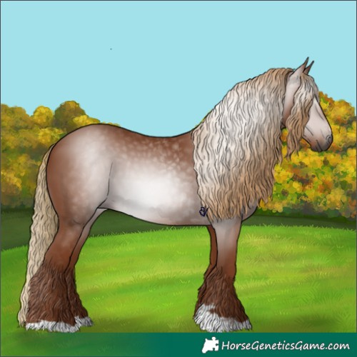 Horse Color:Gray Chestnut