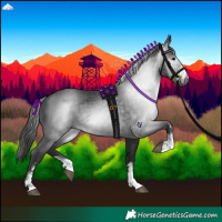 Horse Color:Gray Black Sabino