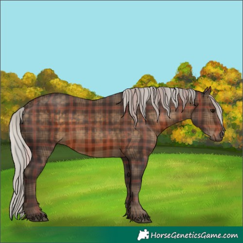 Horse Color:Plaid  Silver Brown 