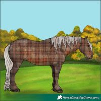 Horse Color:Plaid Silver Brown