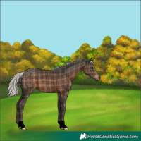 Horse Color:Plaid Silver Brown