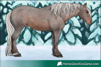 Horse Color:Silver Brown Varnish 