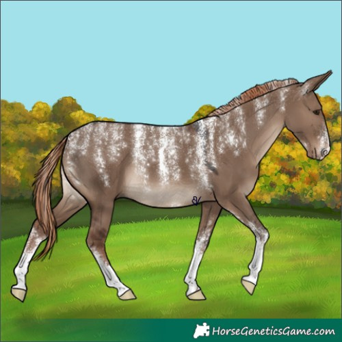 Horse Color:Powder White Liver Red Dun 