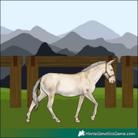 Horse Color:Silver Buckskin Pearl Dun Rabicano 
