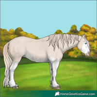 Horse Color:Smoky Creme Splash and Smoky Creme Splash