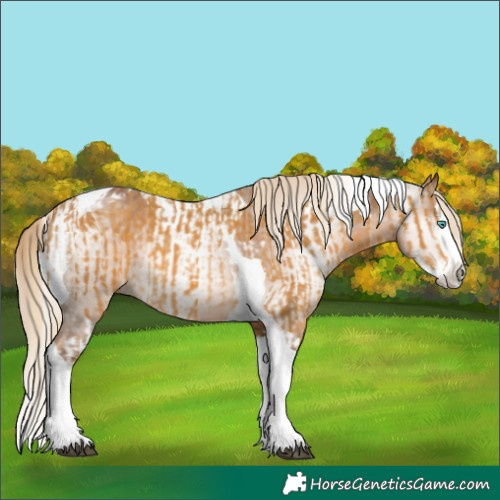 Horse Color:Palomino Splash Tobiano  and Gray Palomino Splash Tobiano 