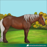 Horse Color:Silver Brown