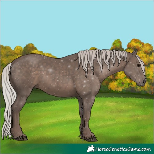 Horse Color:Silver Black 