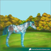 Horse Color:Thunderstruck White Spotted Brown Ice
