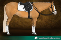 Horse Color:Palomino Splash  and Palomino Splash 