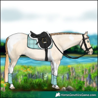 Horse Color:Buckskin Pearl Dun Tobiano 