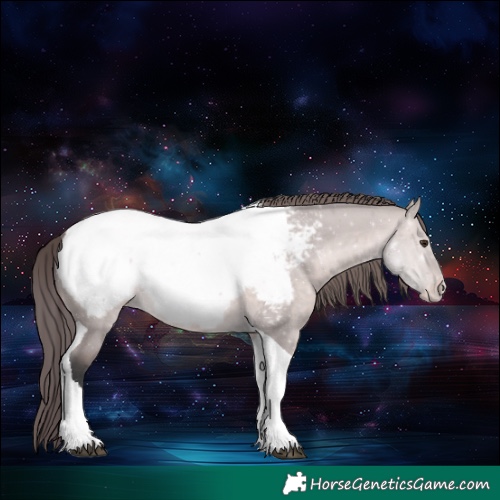 Horse Color:Platinum Bay Dun Tobiano Snowcap 
