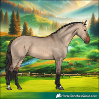 Horse Color:Bay Dun
