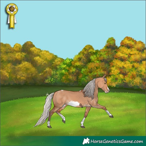 Horse Color:Silver Bay Dun Sabino Tobiano Frame Rabicano 
