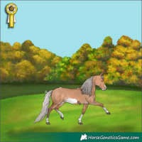 Horse Color:Silver Bay Dun Sabino Tobiano Frame Rabicano 