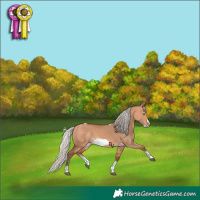 Horse Color:Silver Bay Dun Sabino Tobiano Frame Rabicano 