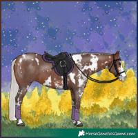 Horse Color:White Spotted Silver Brown Sabino 