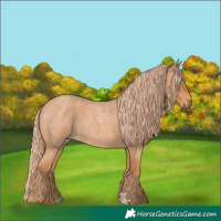 Horse Color:Red Roan 