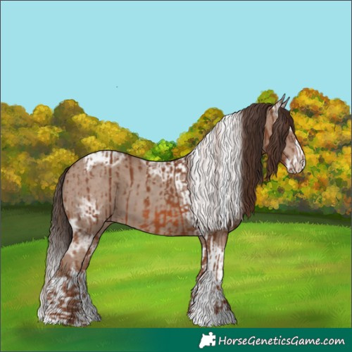 Horse Color:Chestnut  and Classic Champagne Ice Splash Tobiano 