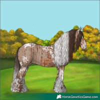 Horse Color:Chestnut  and Classic Champagne Ice Splash Tobiano 