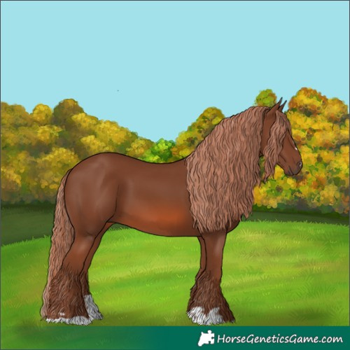 Horse Color:Chestnut 