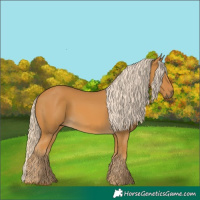 Horse Color:Palomino