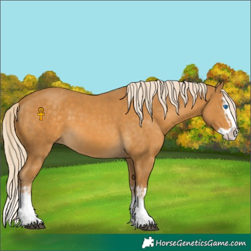 Horse Color:Palomino Splash  and Palomino Splash 