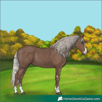 Horse Color:Silver Black 