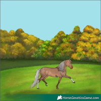 Horse Color:Silver Bay Dun Tobiano Rabicano 