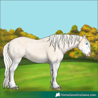 Horse Color:Cremello Splash and Cremello Dun Splash