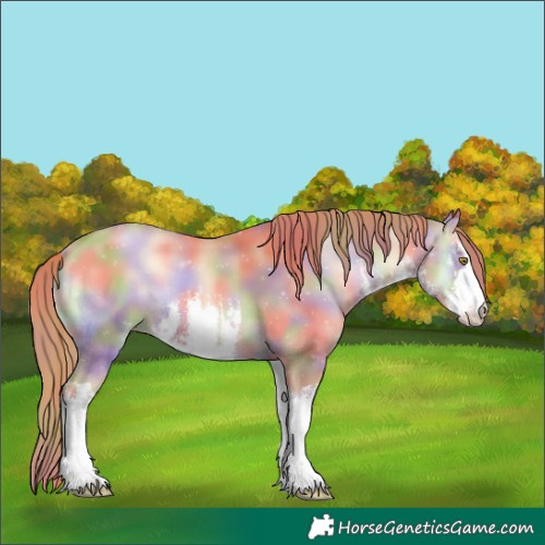 Horse Color:Nacre White Spotted Gold Champagne Onyx 