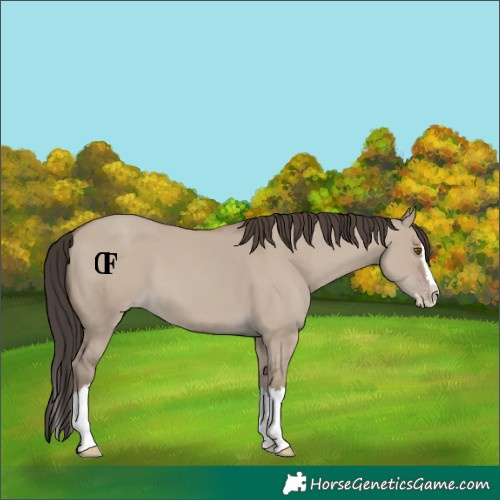 Horse Color:Classic Champagne Dun Splash