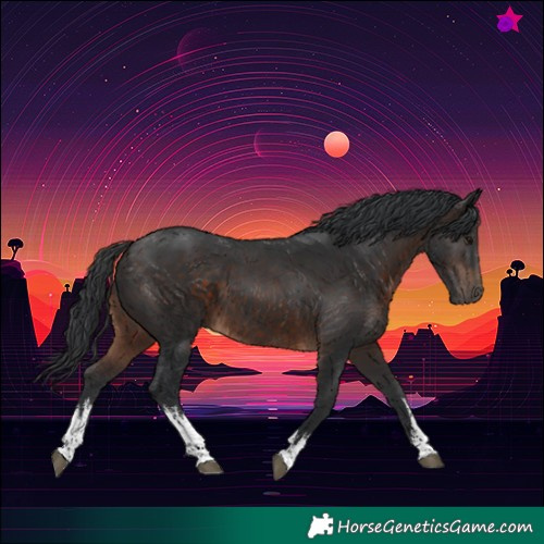 Horse Color:White Spotted Brown 