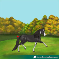 Horse Color:White Spotted Liver Chestnut 