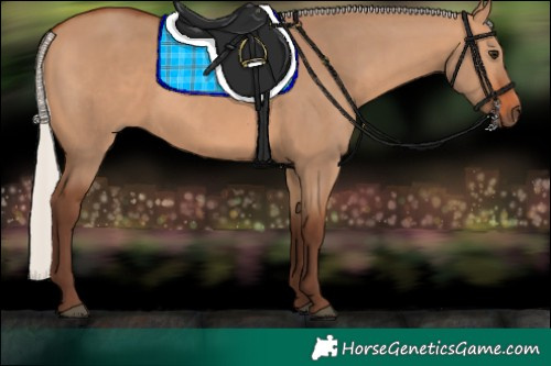 Horse Color:Silver Bay Dun