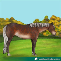Horse Color:Silver Brown 