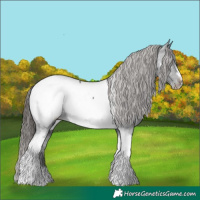 Horse Color:Black Tobiano Frame Near Fewspot 