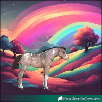 Horse Color:White Spotted Bay Ice Splash Tobiano Appaloosa