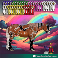 Horse Color:White Spotted Chestnut Splash