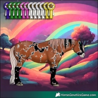 Horse Color:White Spotted Chestnut Splash 
