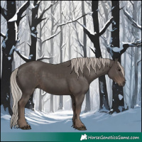 Horse Color:White Spotted Silver Black 