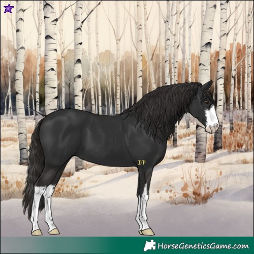 Horse Color:White Spotted Liver Chestnut
