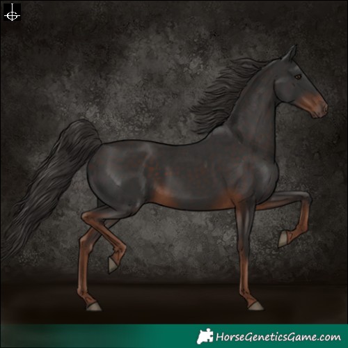 Horse Color:White Spotted Liver Chestnut 