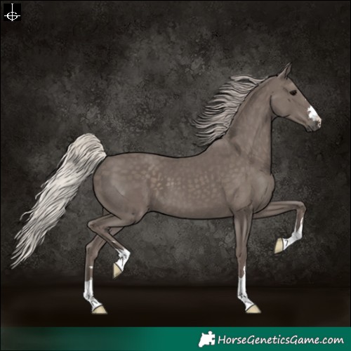 Horse Color:Silver Black