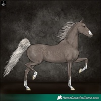 Horse Color:Silver Black 