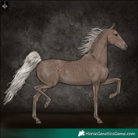 Horse Color:Silver Black 