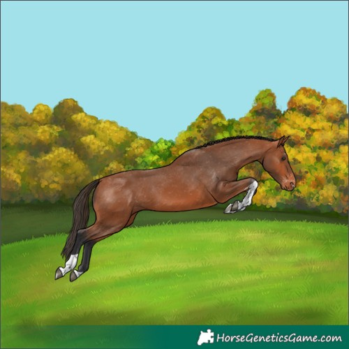 Horse Color:Bay Tobiano Varnish 