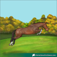Horse Color:Bay Tobiano Varnish 